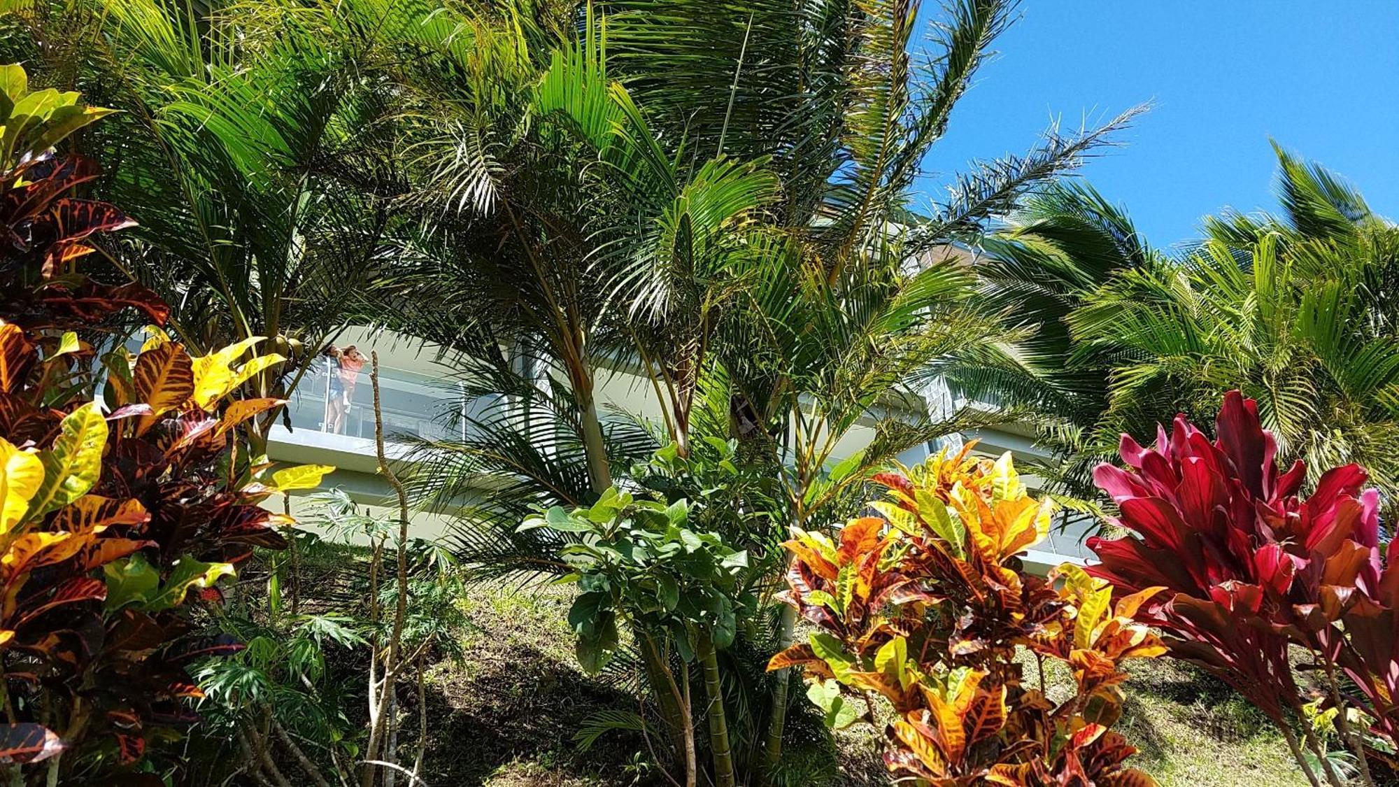 Lake Arenal Condos Naranjos Agrios Buitenkant foto